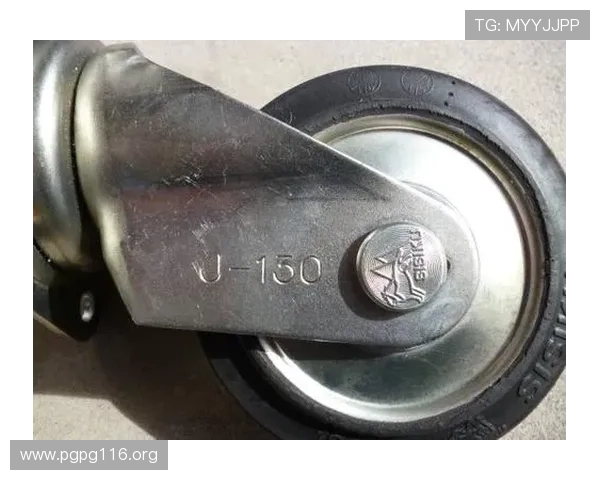 全面解析亚虎工具的功能与使用指南